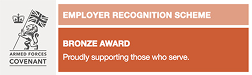 Bronze-award